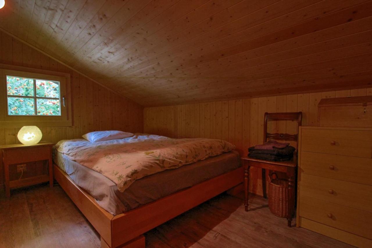 Les Jumelles Villa Gstaad Eksteriør billede