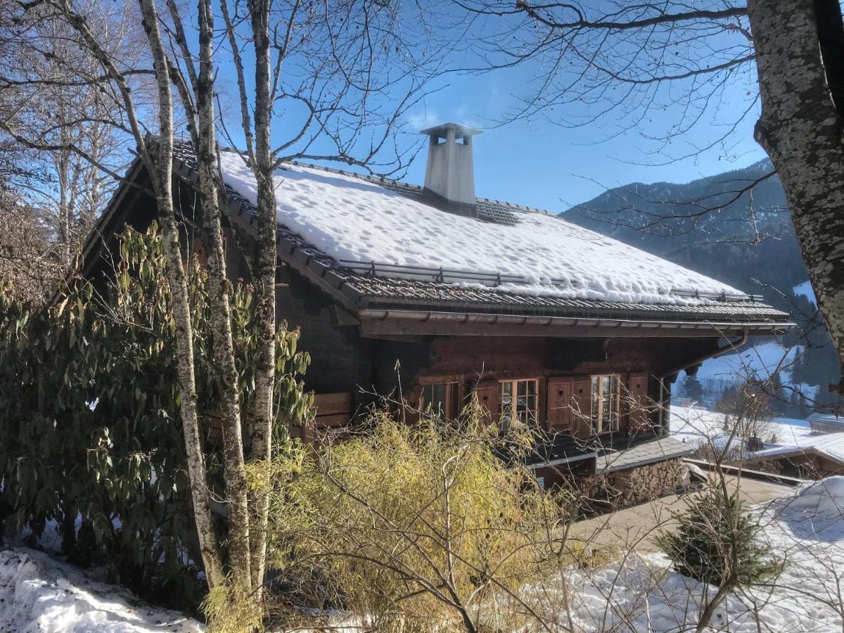 Les Jumelles Villa Gstaad Eksteriør billede
