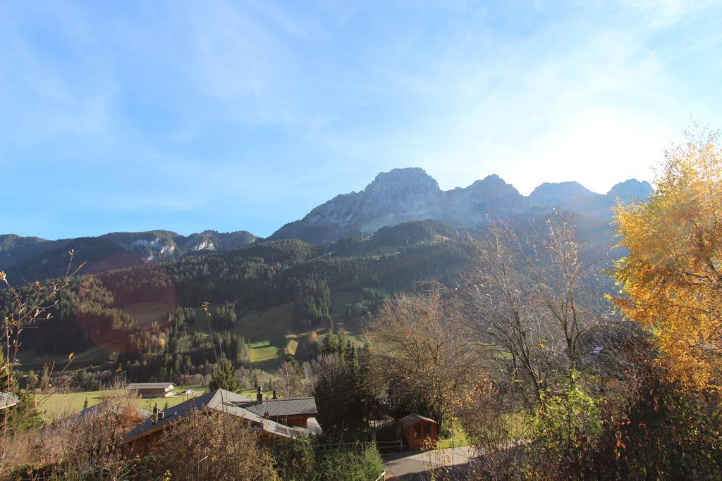 Les Jumelles Villa Gstaad Værelse billede